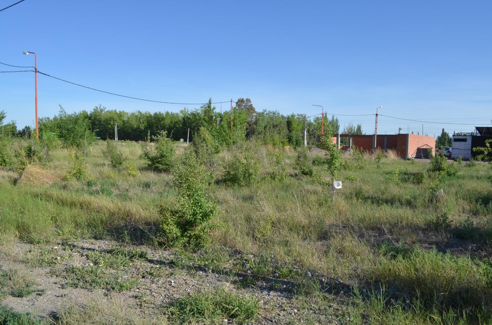 Terreno en los Nogales - Allen - 1