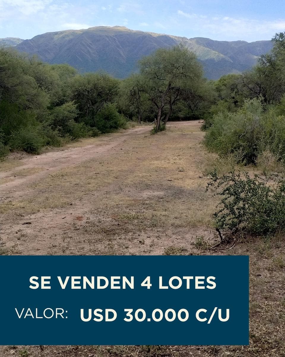 VENDO TERRENOS DE 2.500 M2 - LOS MOLLES - MERLO (SAN LUIS) - 1