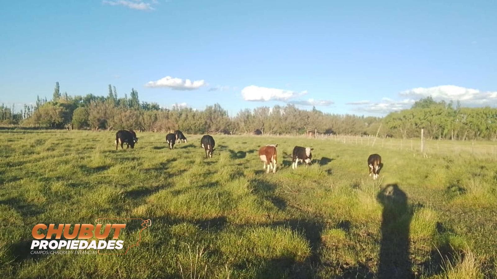 Chacra con casa en Trelew - 1