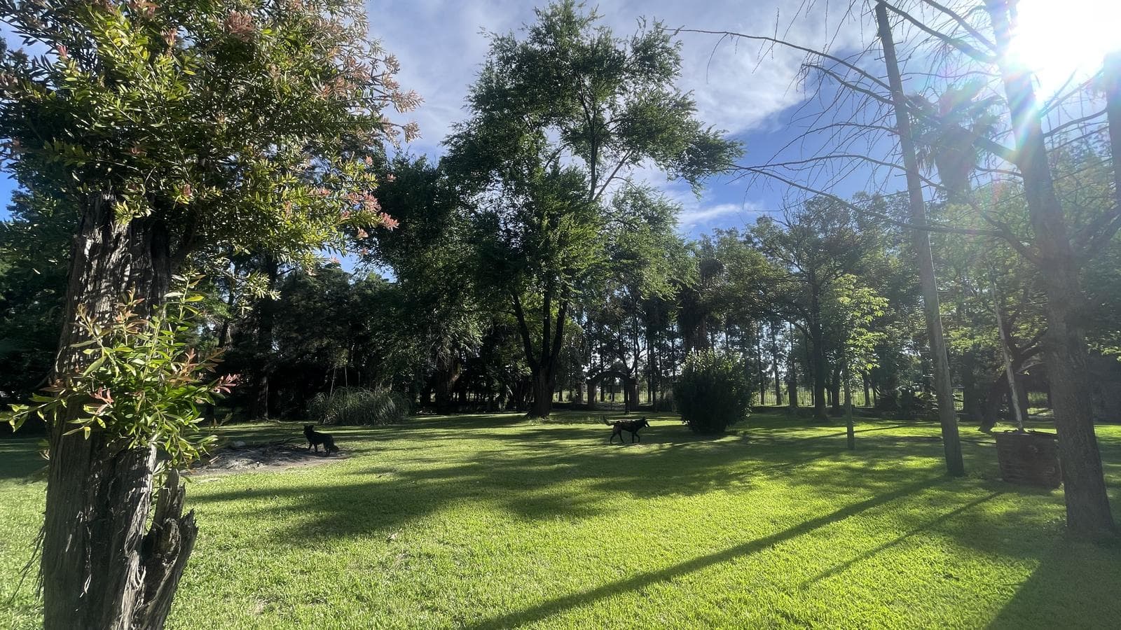 LOTE EXCLUSIVO DE 2.419 M² CON ARBOLEDA - PÉREZ - 1