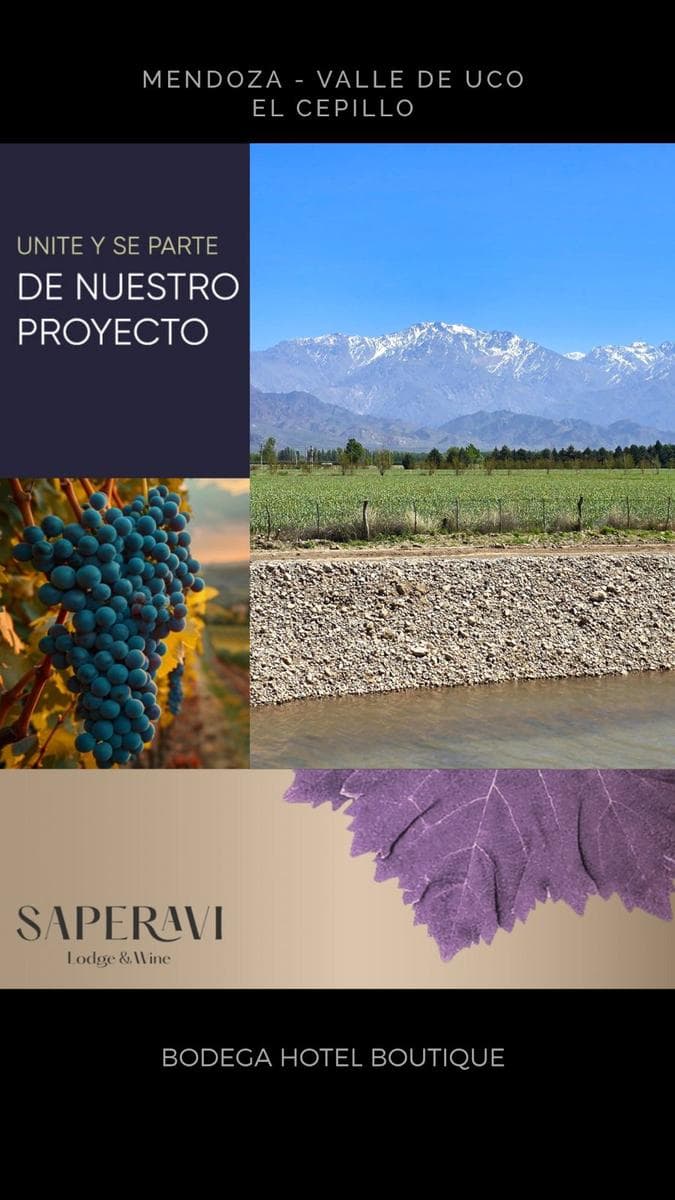 Hotel Boutique en Valle de Uco- Amenities y Seguridad - 1