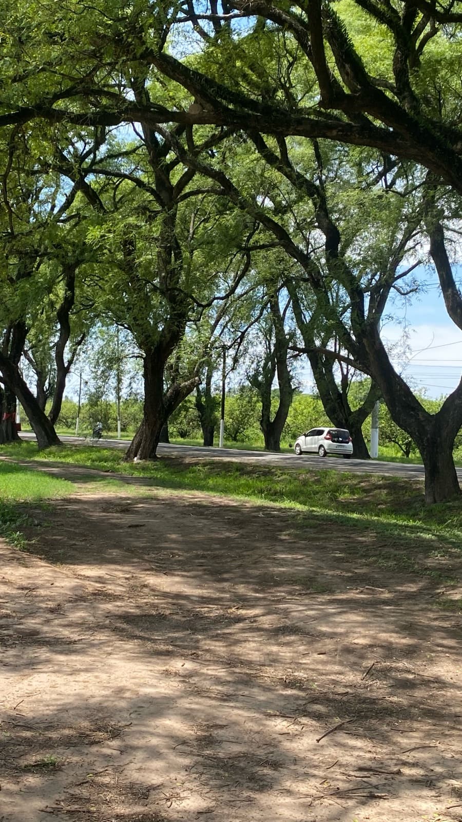 Terreno Central en Alto de Cevil 3 - 1