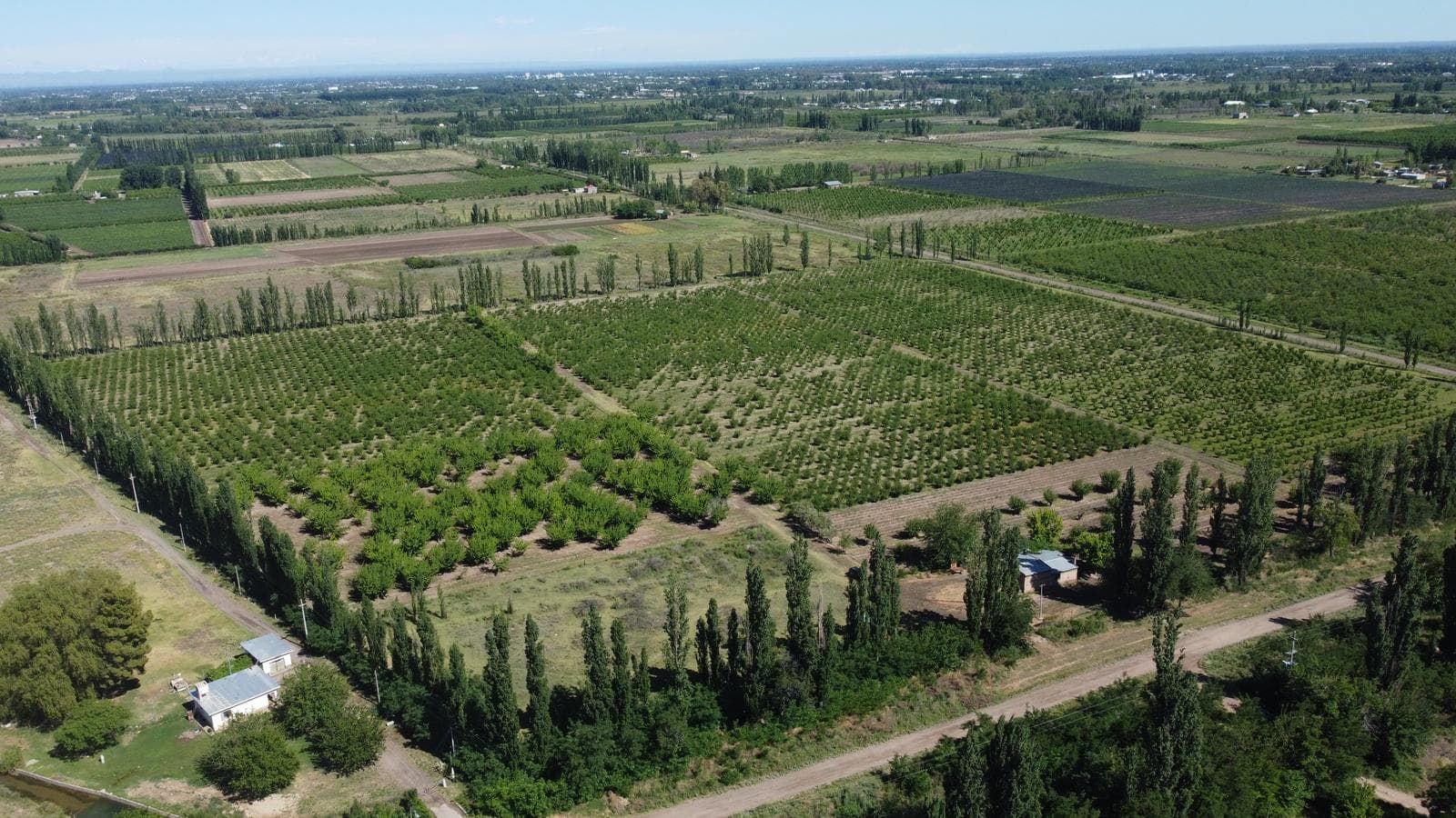 Finca productiva de 12 hectáreas – Prolongación Ruta 165 - 1