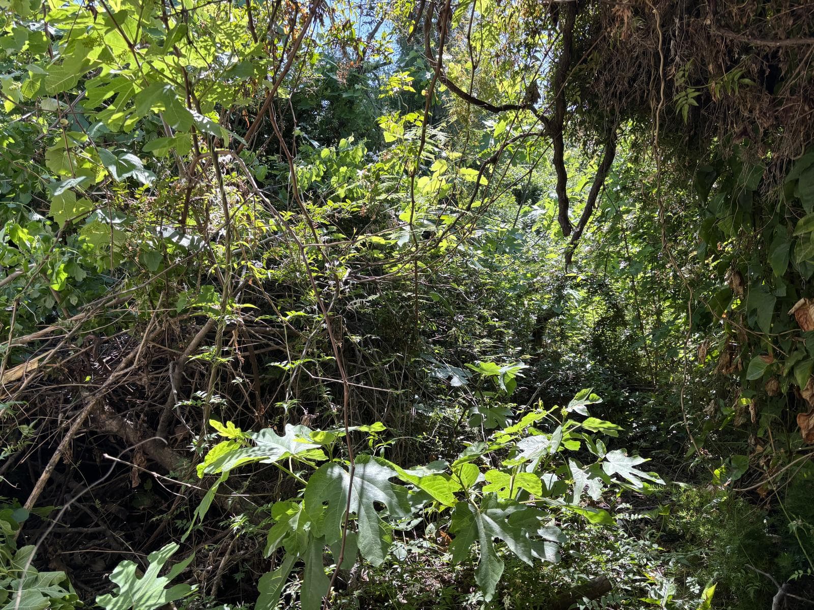 Terreno en Temperley Este - 1