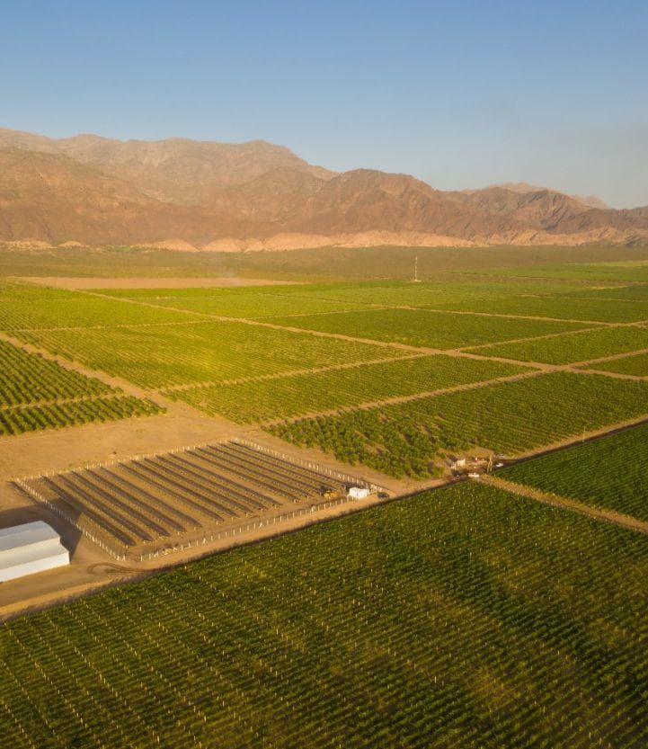 Terreno en Tinogasta - 1