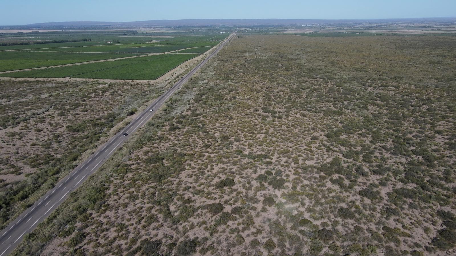 Campo en venta de 16 has en Mendoza - 1