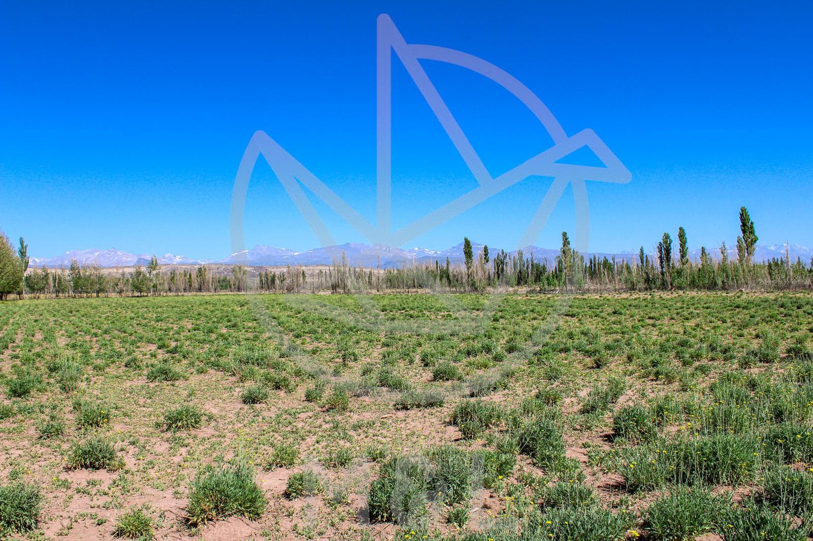 Terreno 4 Ha con Pozo y Gas - Acceso Malargüe - 1