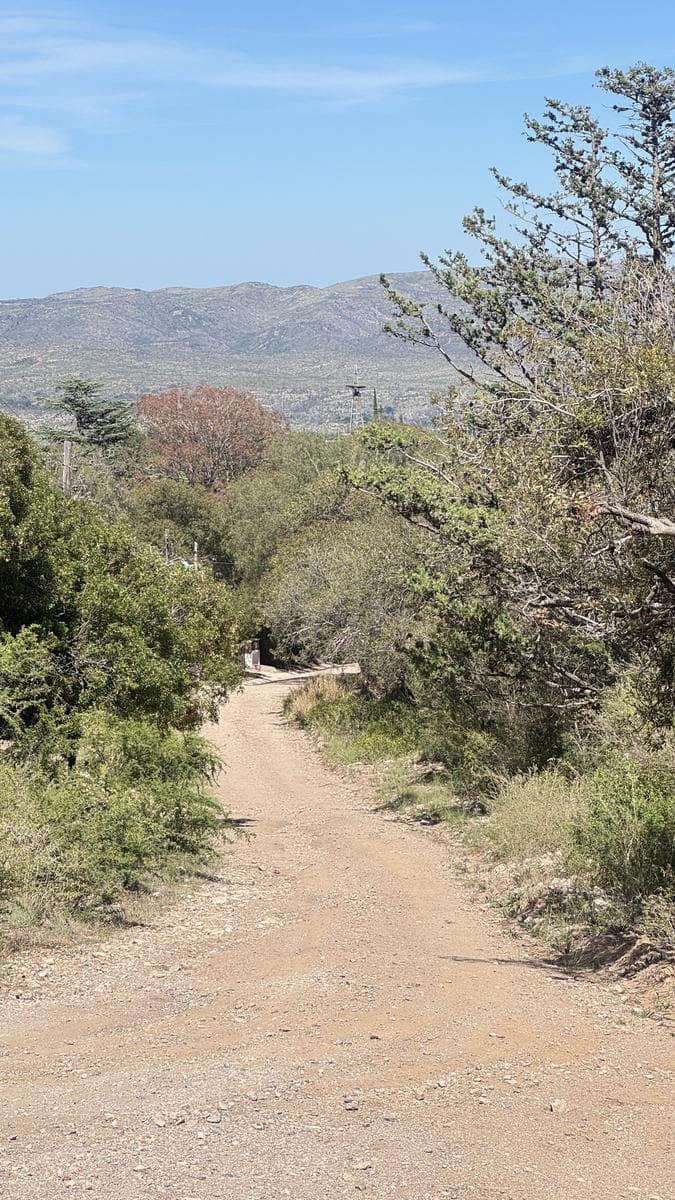 Terreno en Los Cocos - 1