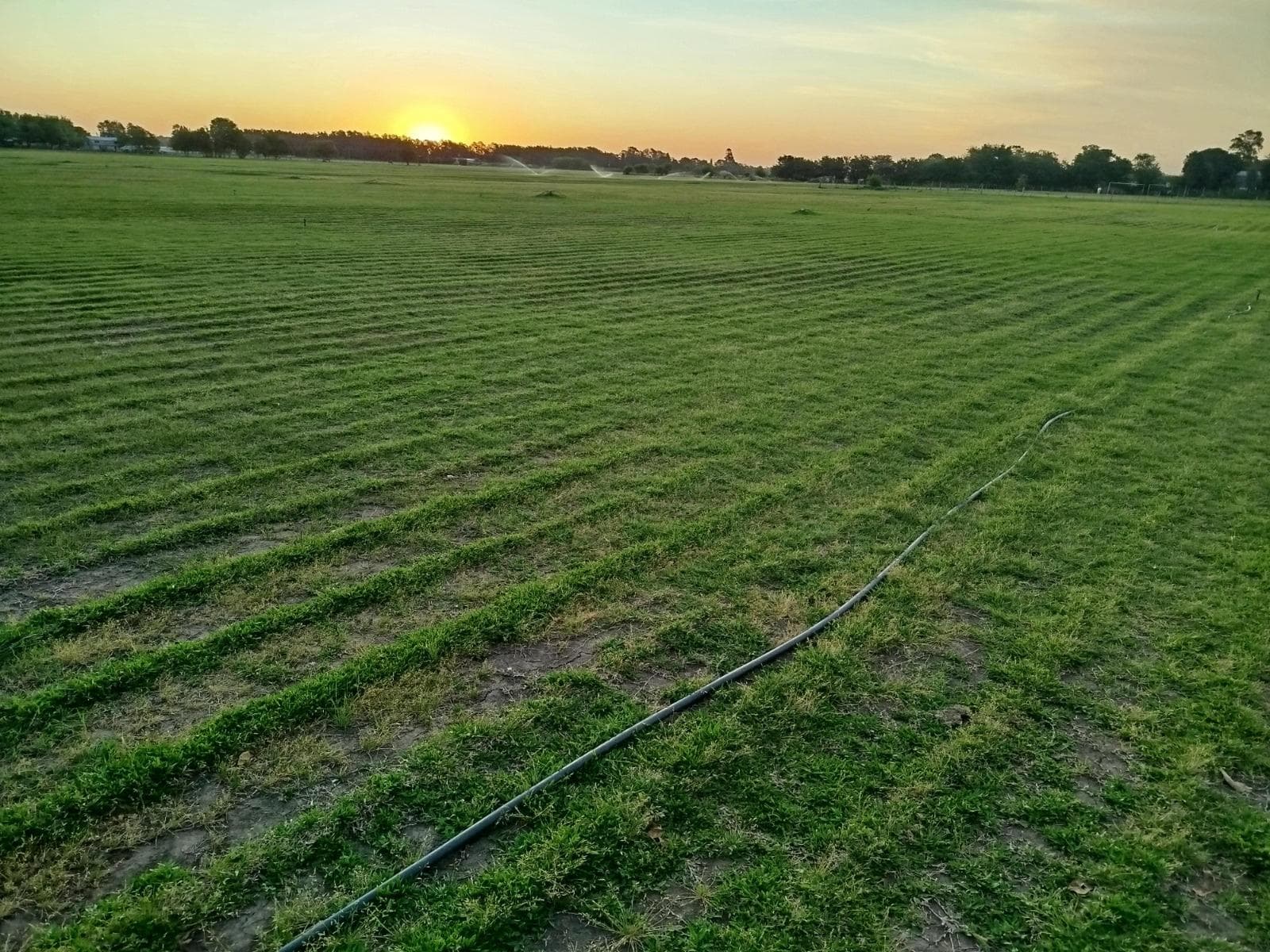 Campo en venta - 15.000Mts2 - Baradero - 1