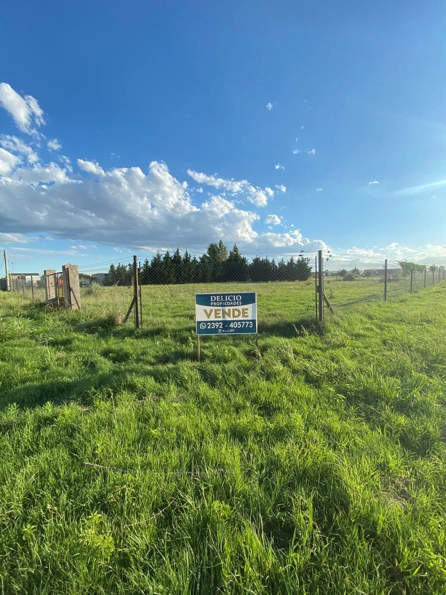 Terreno en Trenque Lauquen - 1