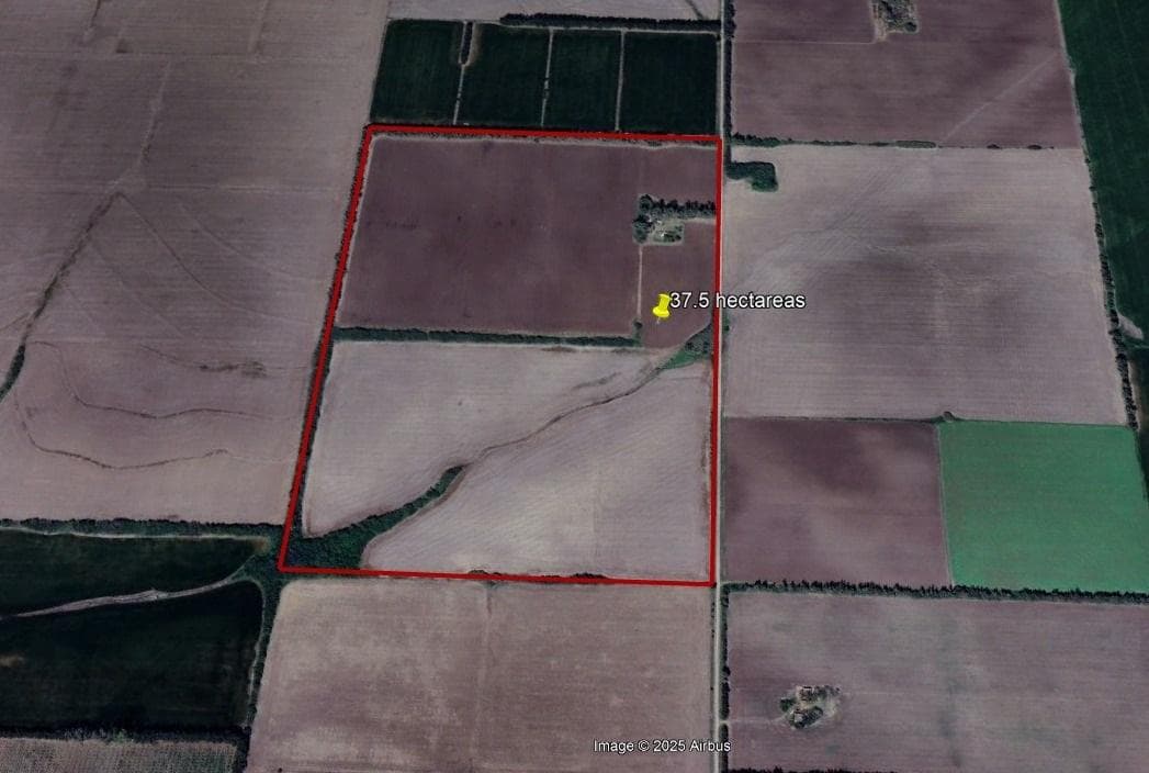 VENTA - CAMPO - 37.5 HECTAREAS - SAN PEDRO (BUENOS AIRES) - 1