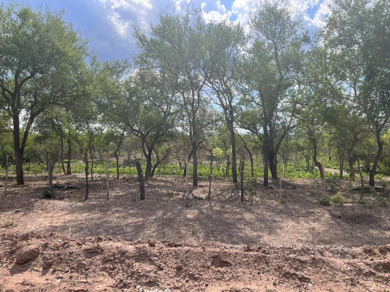 Finca en Rosario De La Frontera - 1