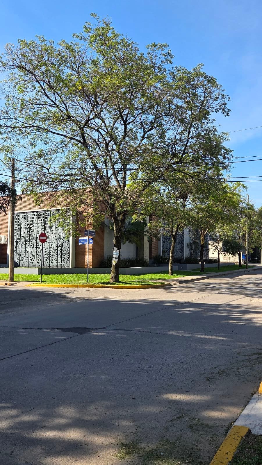 Oficina - Av. Peron - 1