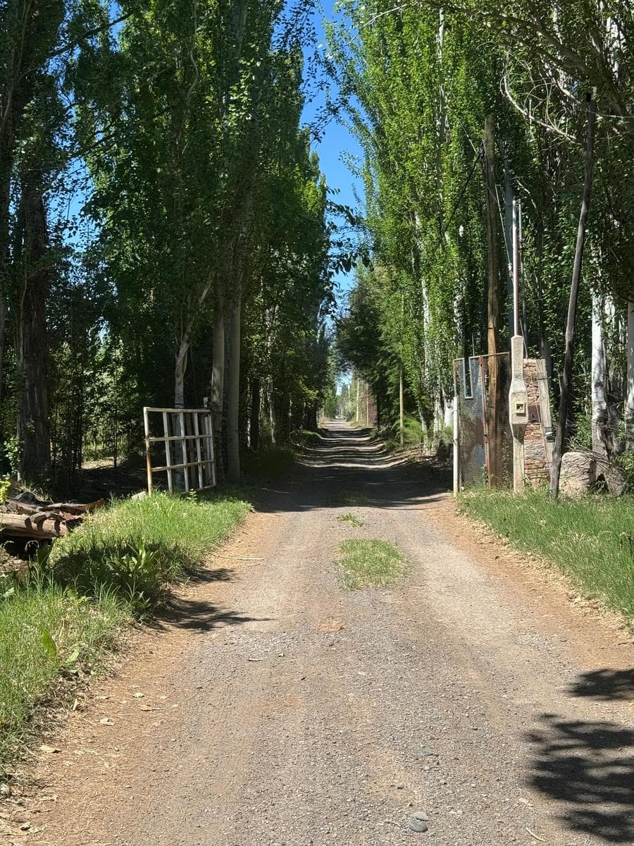 VENTA CHACRA 8,45 HA. - 5 ESQUINAS, CIPOLLETTI - 1