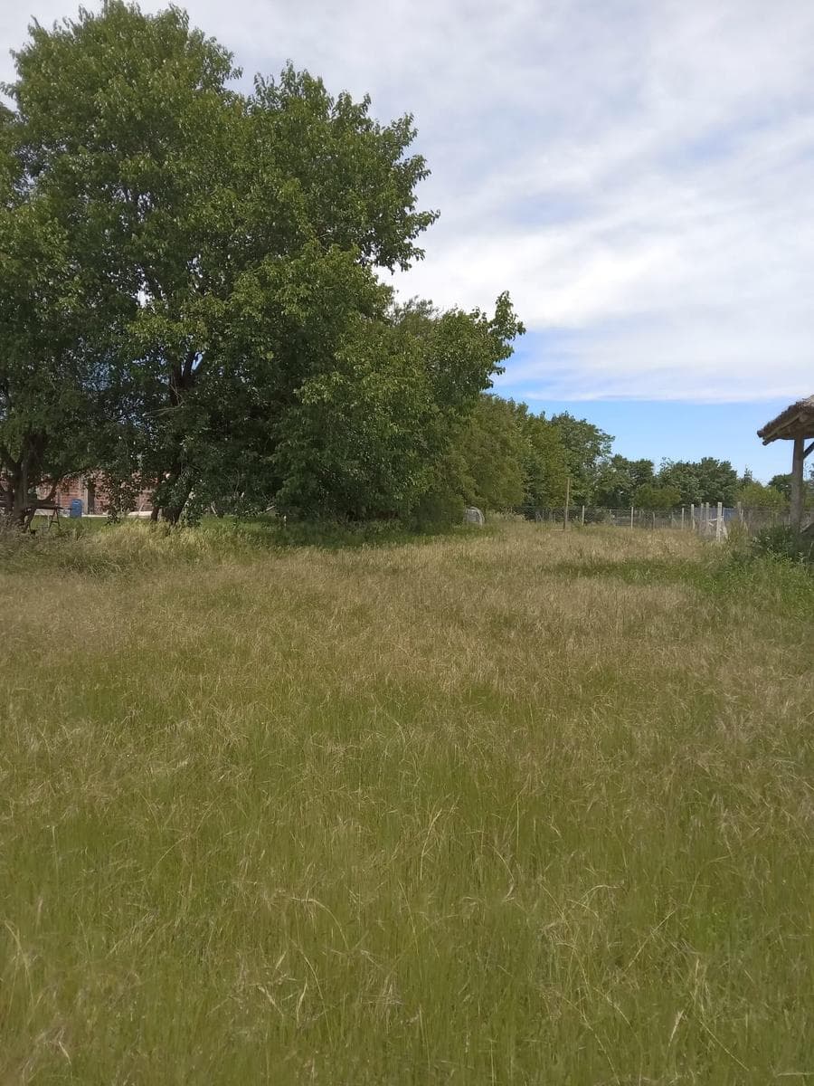 VENTA DE LOTE EN SANATA COLOMA MANZANARES - 1