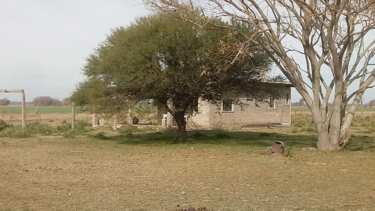 Campo en Oliveros - 1