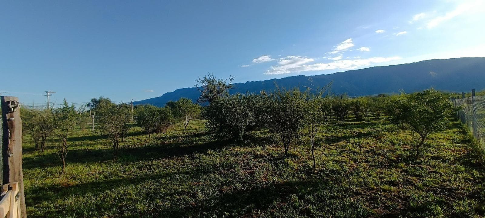 VENTA 4 LOTES EN EL CORAZON DE CERRO DE ORO, MERLO, SAN LUIS - 1