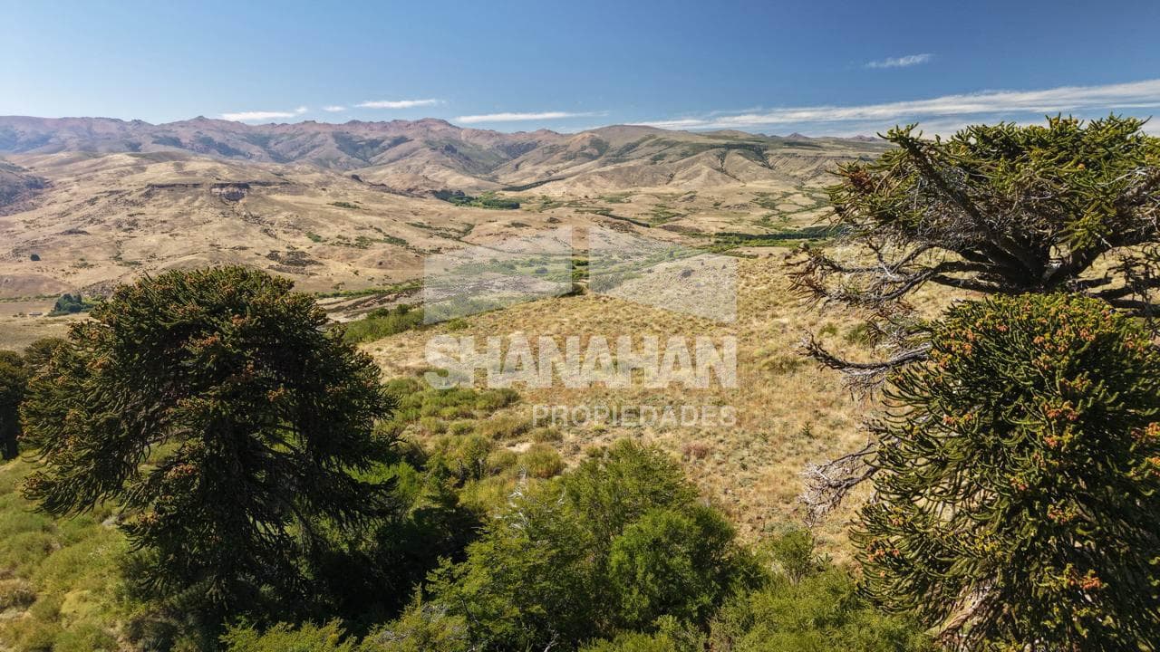 Campo en Alumine - provincia Neuquén - 1