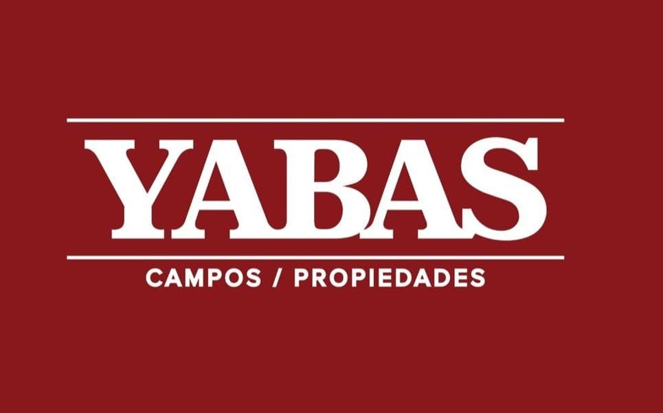 CAMPO AGRÍCOLA EN VENTA –32 hectareas - ZONA SAN PEDRO, BUENOS AIRES - 1