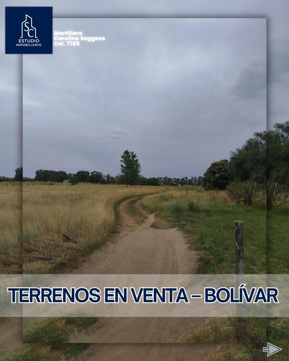 Terreno en Bolivar - 1