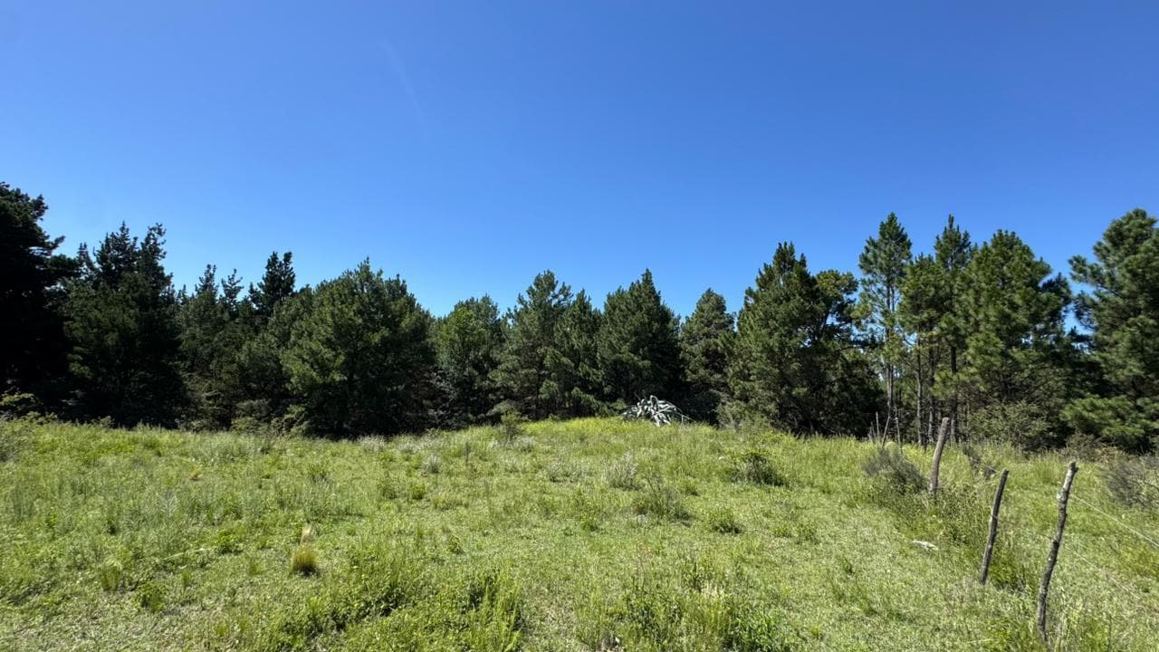 Campo en Calamuchita - 1