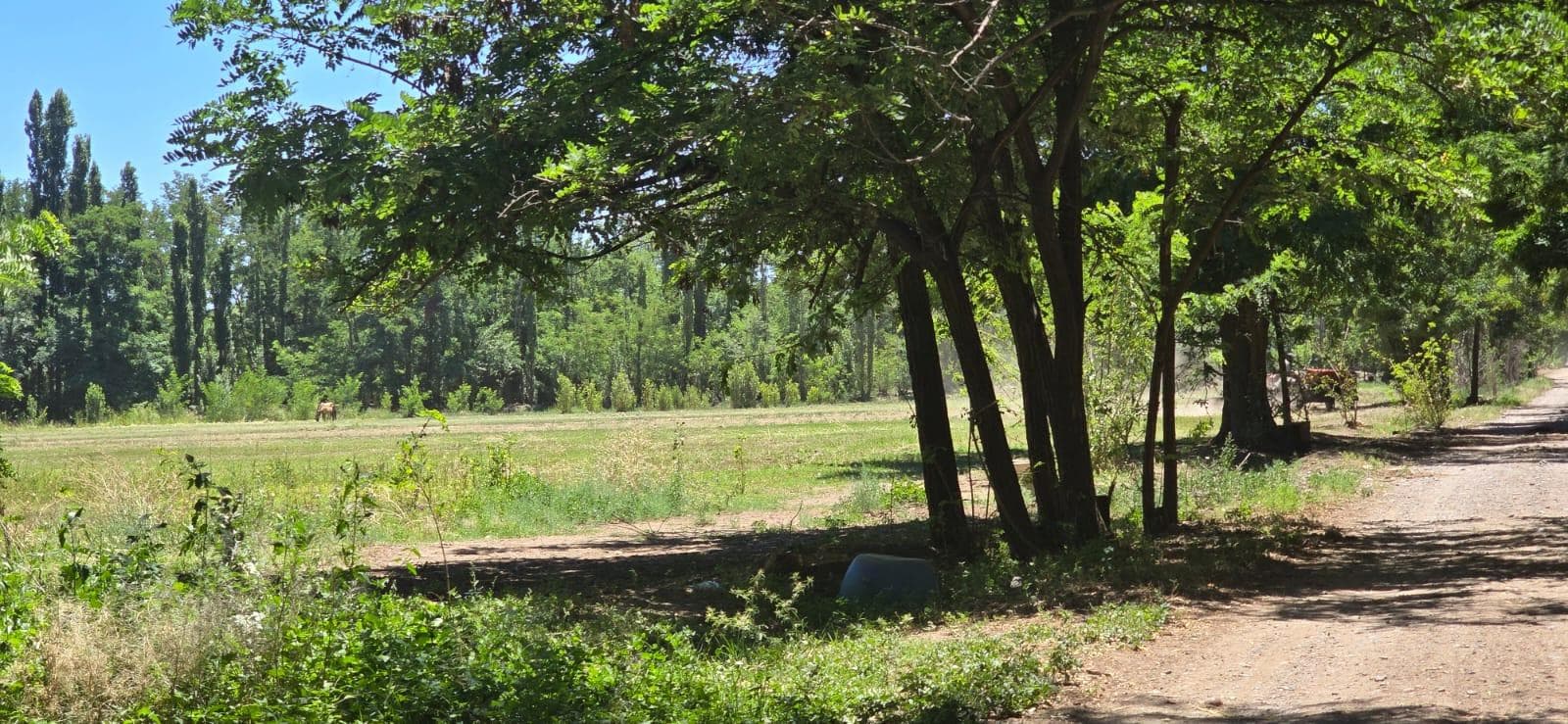 CHACRA COSTA RIO LIMAY PLOTTIER - 1