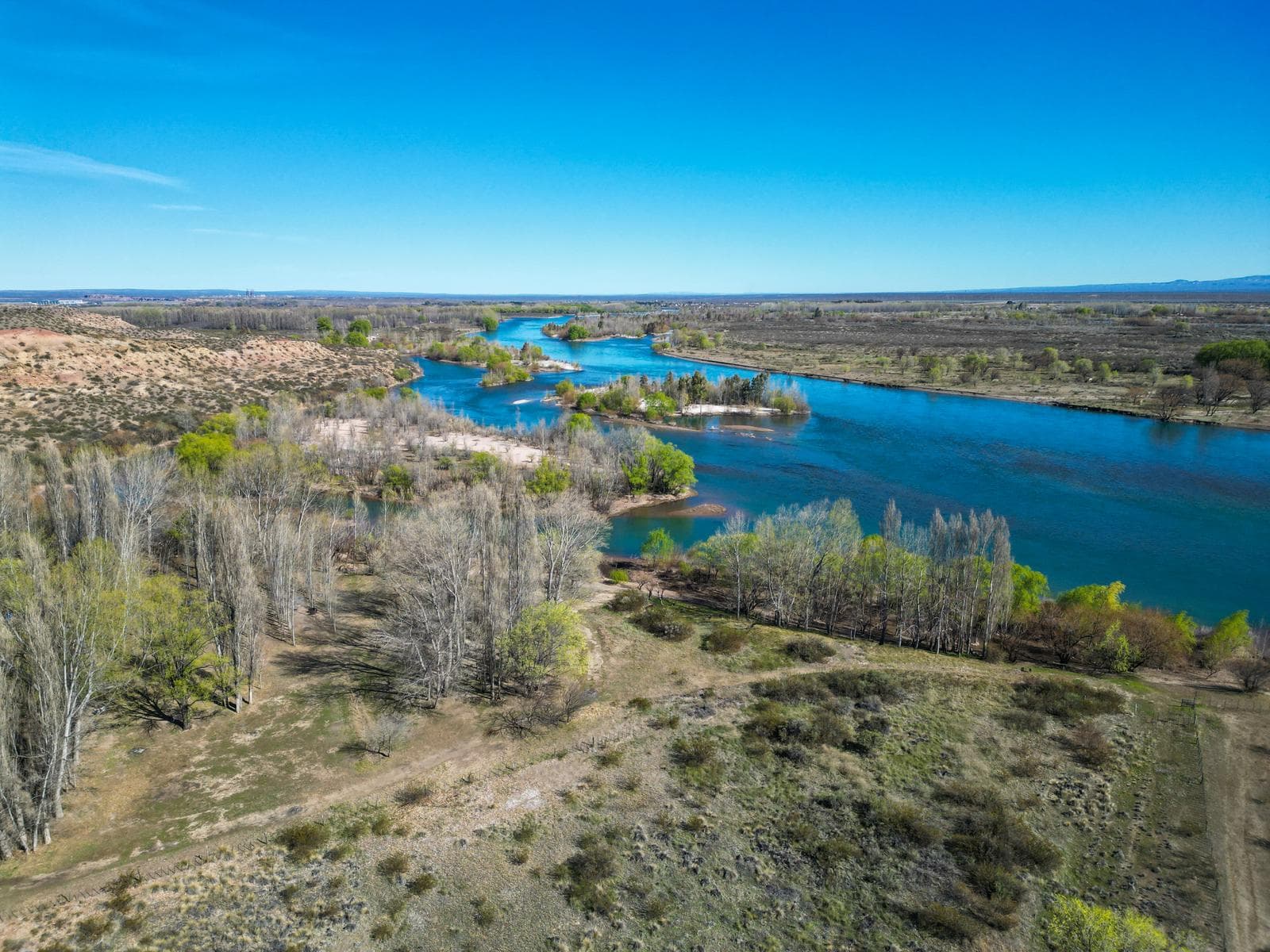 VENTA DE TERRENO CAMPO DE 225 HAS EN EL CUY, RIO NEGRO - 1