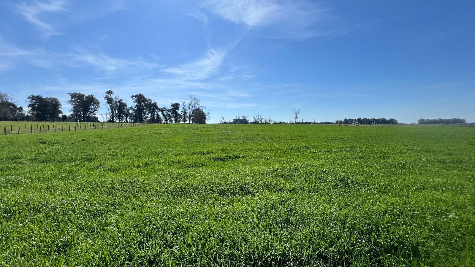 VENTA DE CAMPO – 200 HECTÁREAS – PARTIDO DE BARADERO, RUTA NACIONAL Y AUTOPISTA N.º 9, - 1