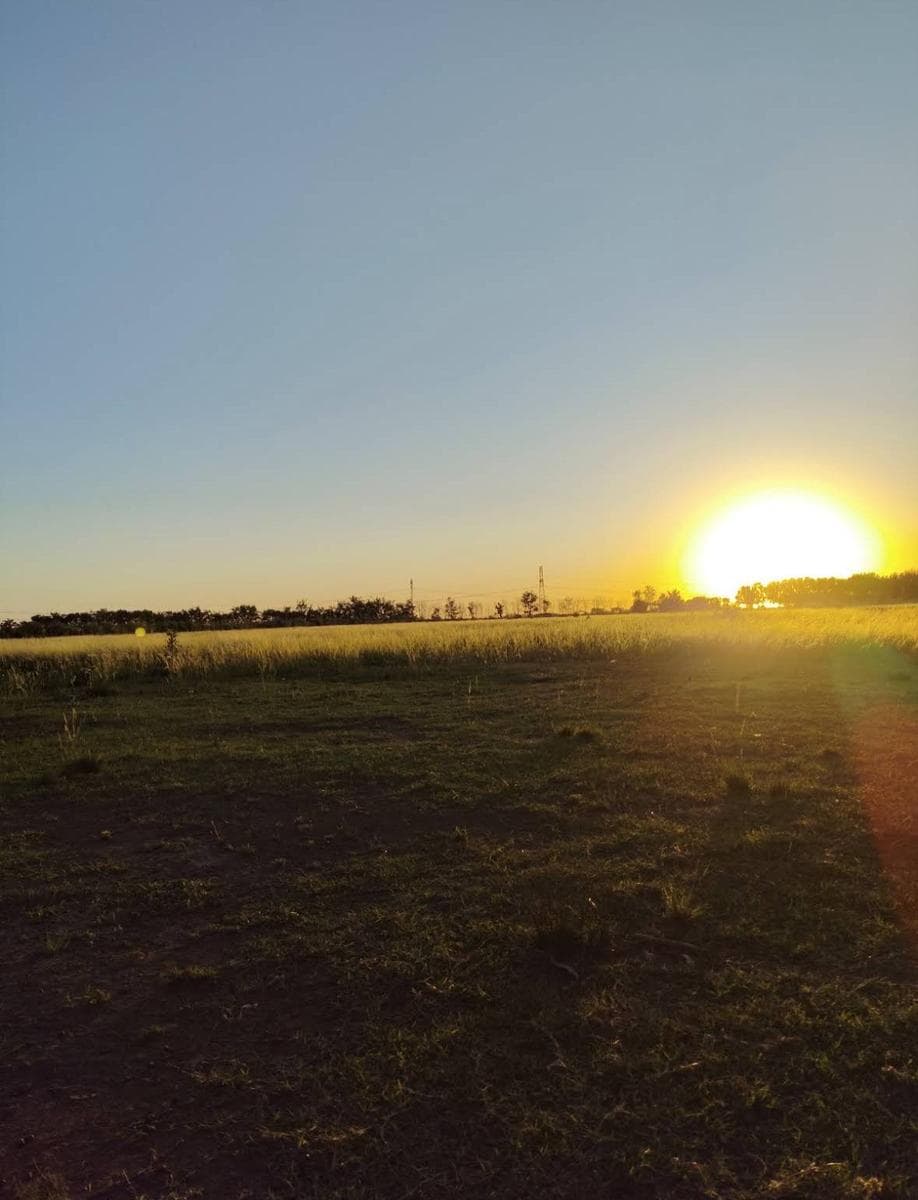 VENTA LOTE DE 13 HA EN ARROYO SECO - PROVINCIA SANTA FE - 1