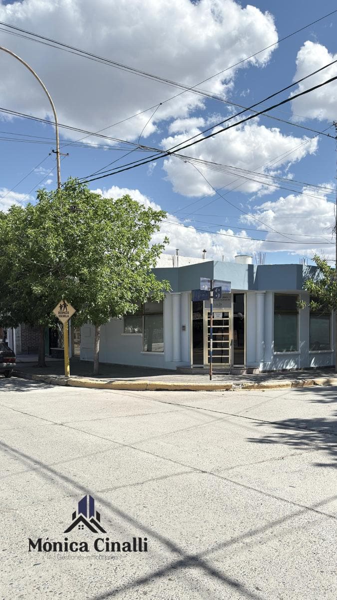 Local en Villa Regina - 1