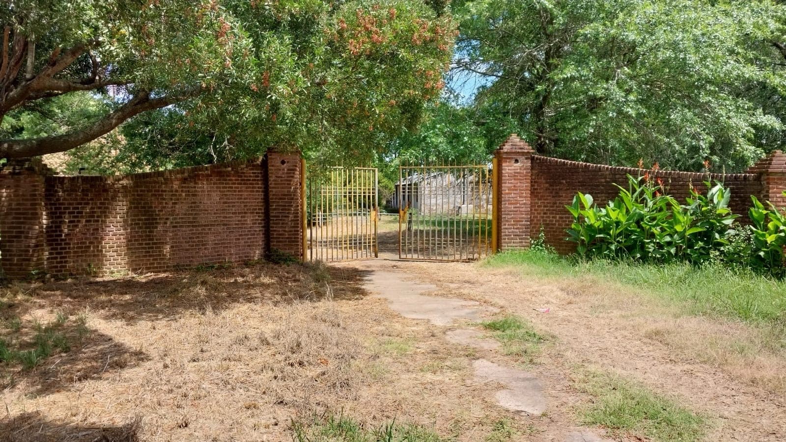 Campo - Coronel Brandsen - 1