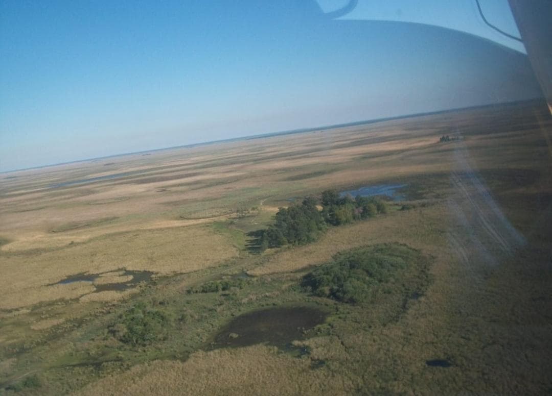 Campo en Ituzaingó - 1