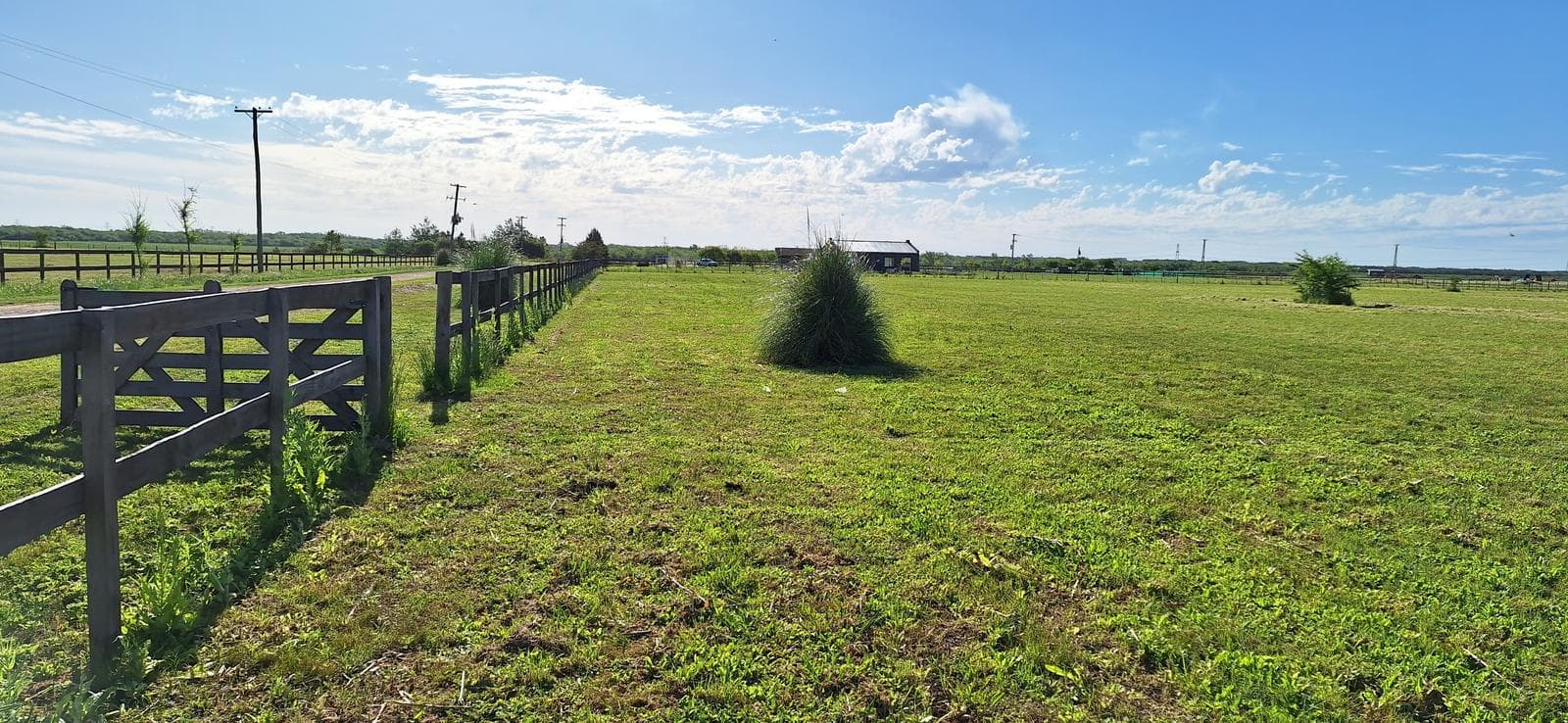 Chacra | Venta | Zarate |15000 M2 - 1