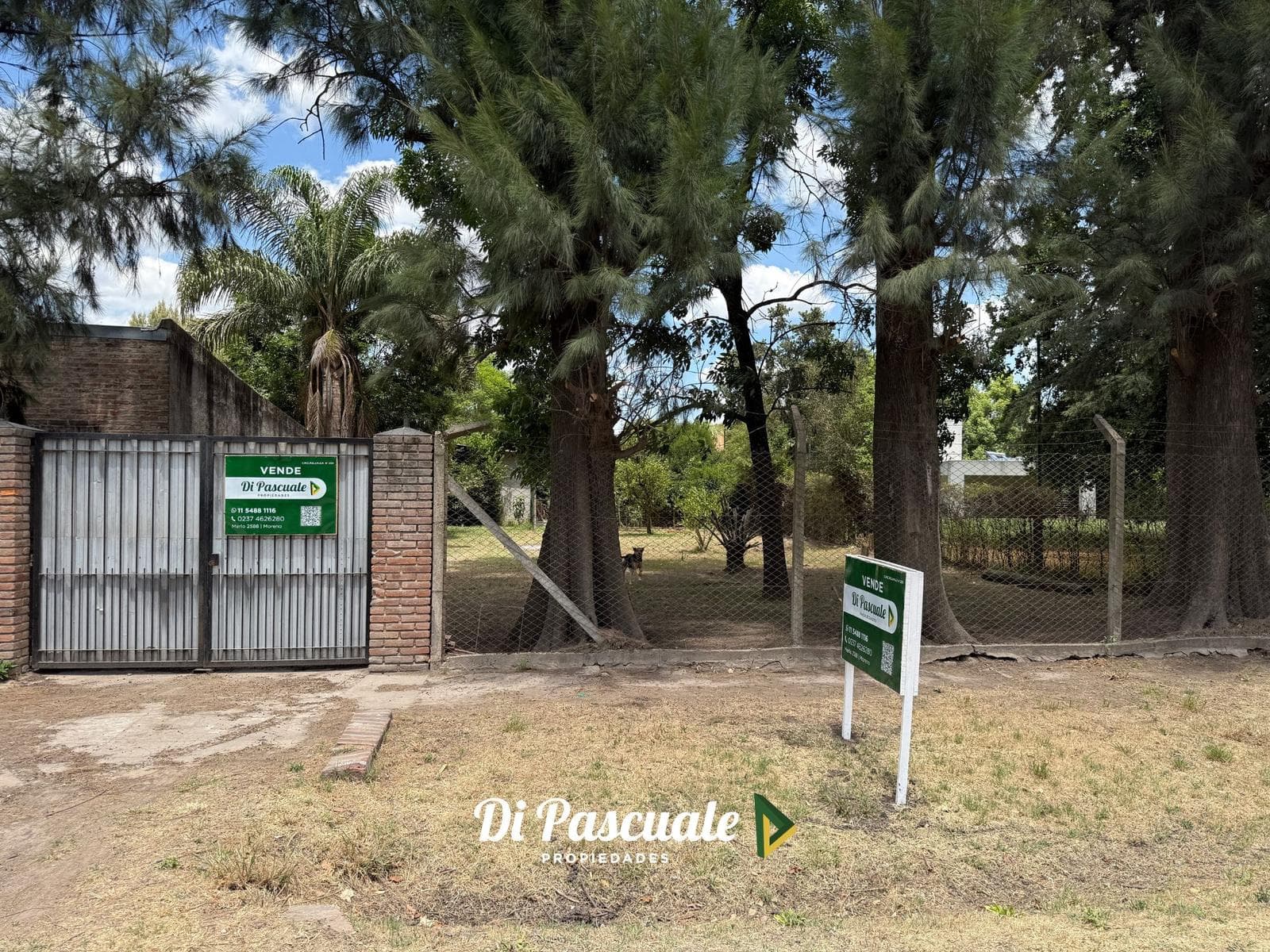 VENTA Lote con Galpón, Quincho, Arbolado y Parquizado - La Reja Sur - 1