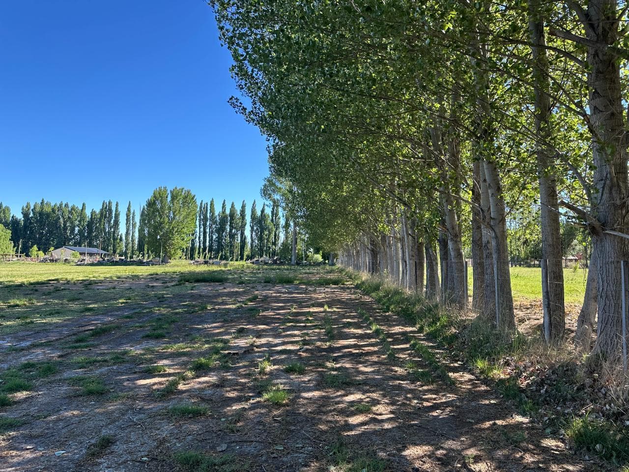 Chacra en Cipolletti - 1