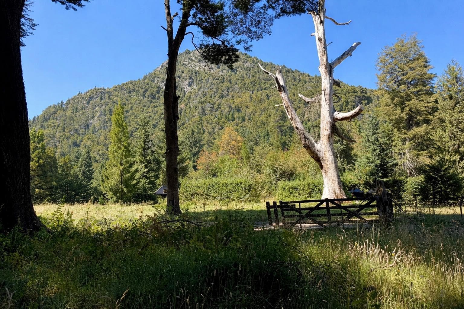 Terreno en venta Colonia Suiza, Bariloche - 1