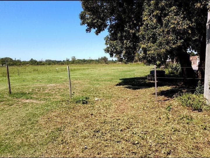 Campo en Pergamino - 1