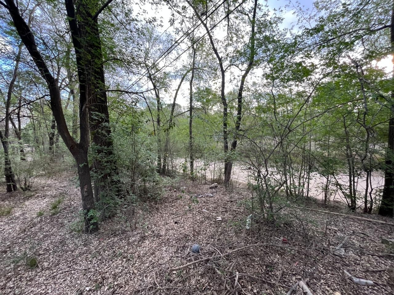 2 terrenos en venta - 1