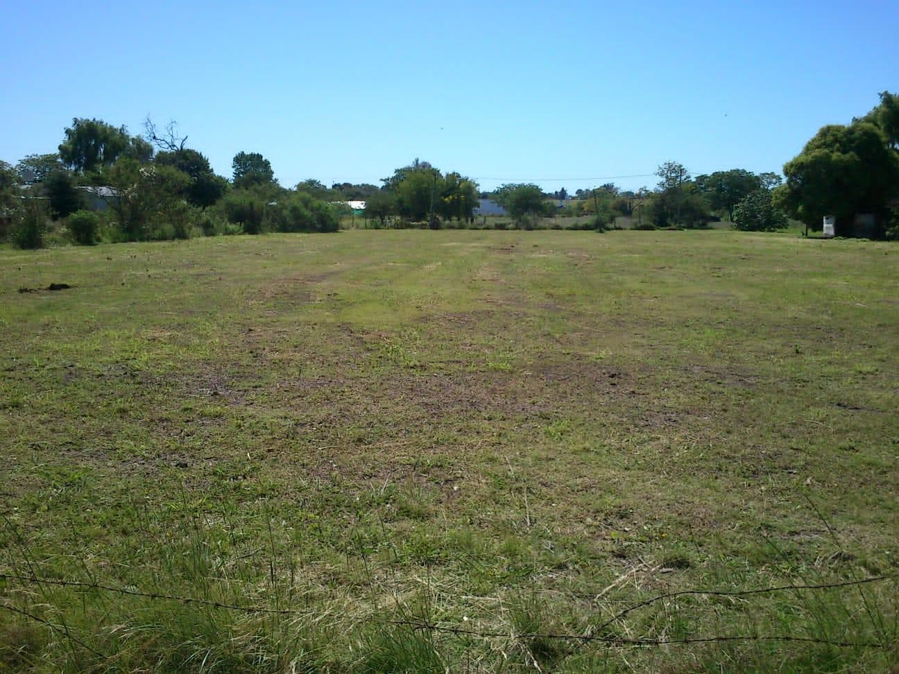 Terreno en Maria Grande - 1