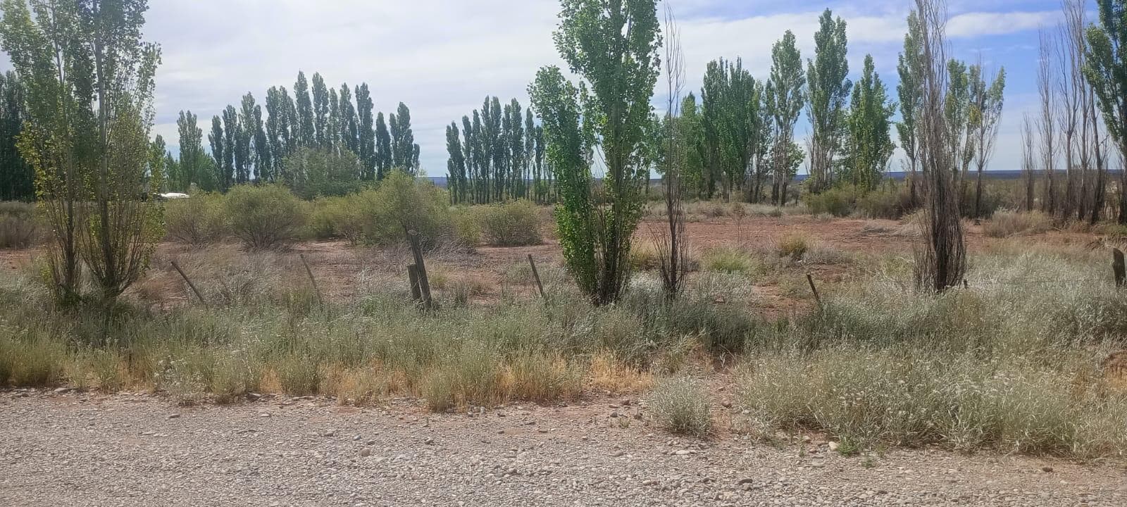 Venta de chacra 1,5 ha en Senillosa, Prov. Neuquen. excelente oportunidad - 1