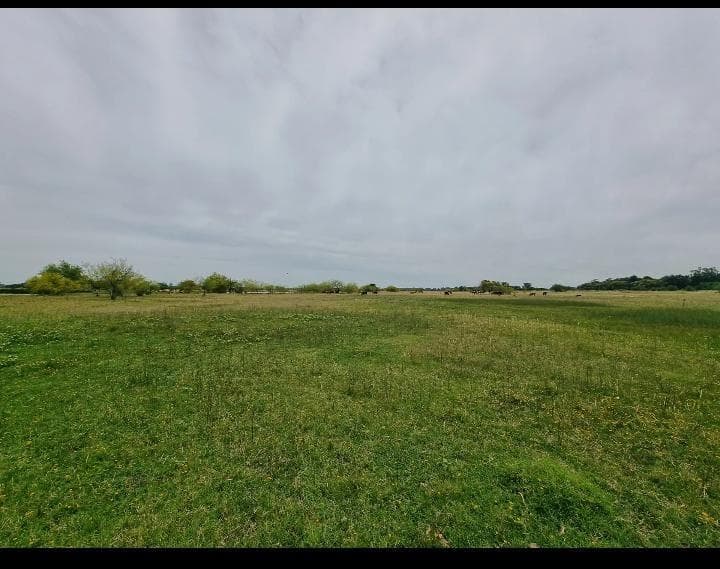 Campo en venta - 78.8 hectareas - General Rodríguez - 1