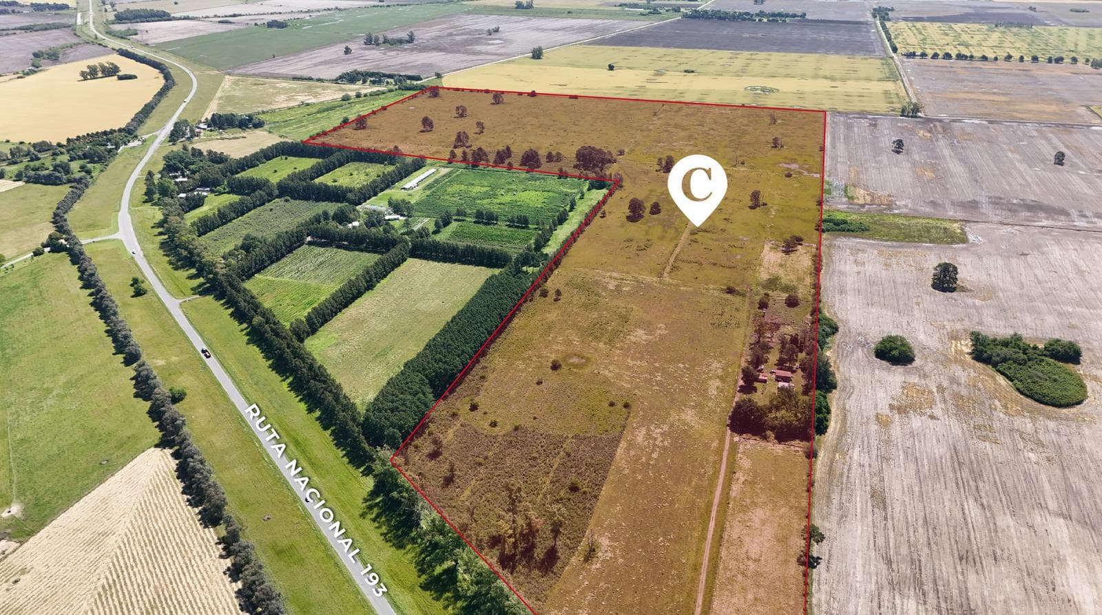 Campo en Venta en Exaltación de la Cruz. Uso mixto. Casa de 3 dorm. Ruta 193. Sup. de 75 hectáreas - 1