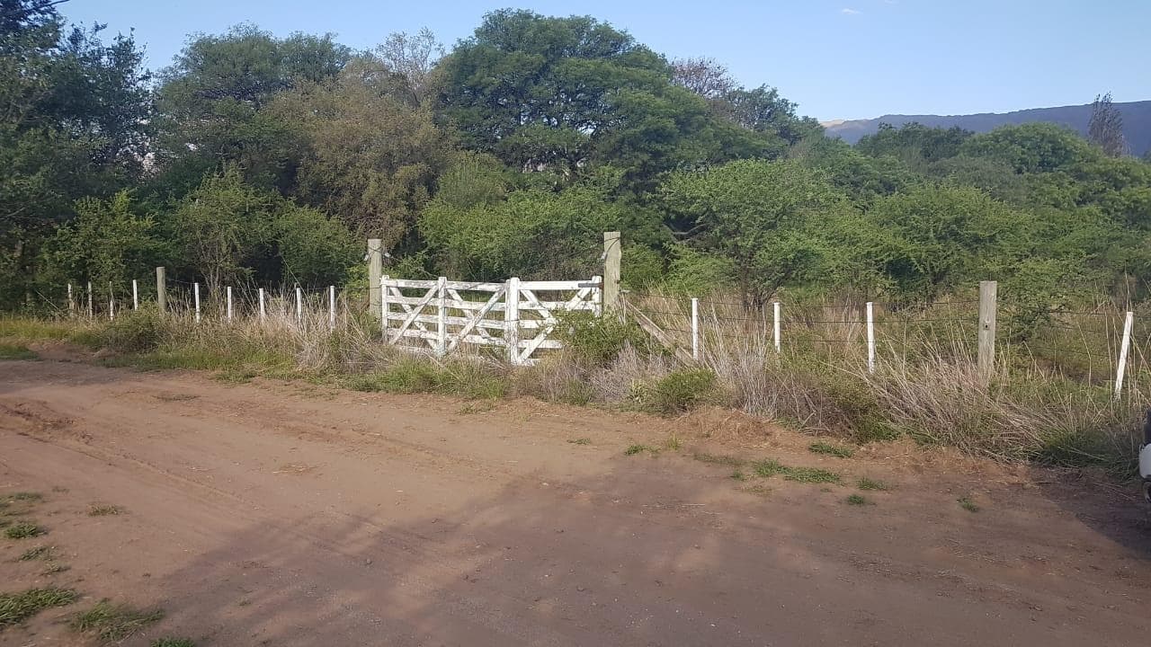 VENTA TERRENO MERLO LOS MOLLES SAN LUIS - 1