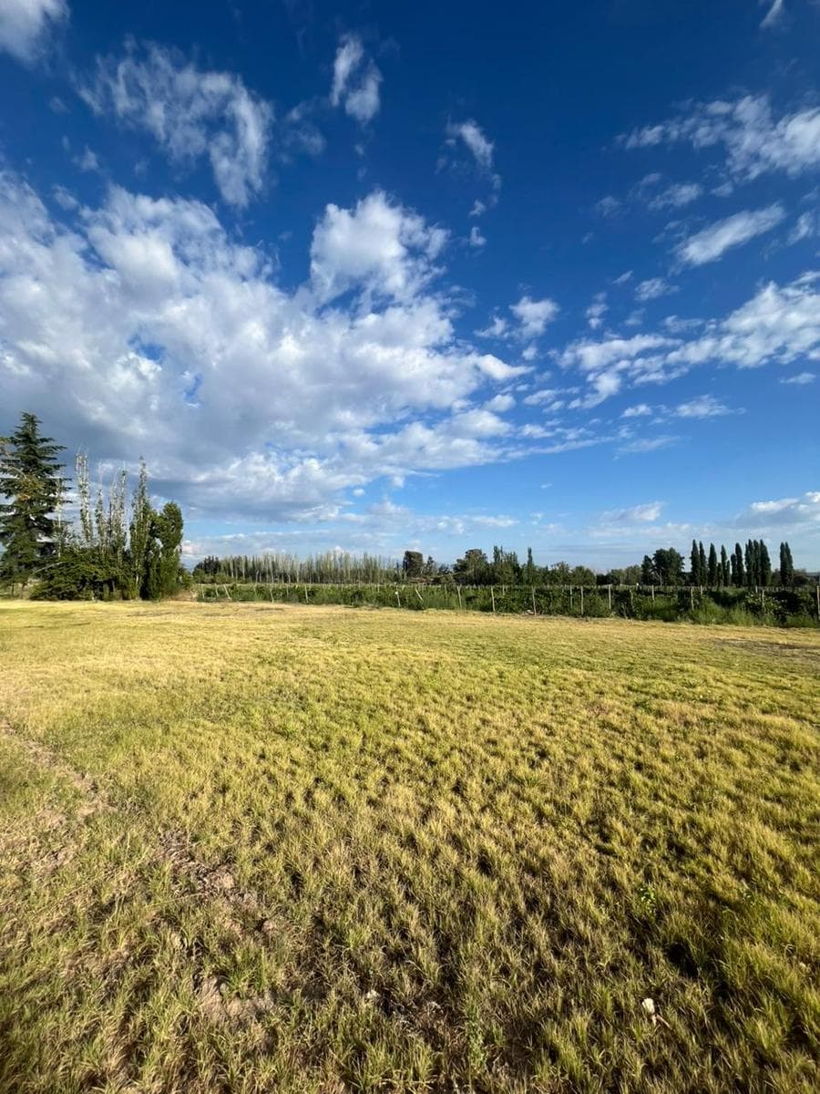 VENTA FINCA EN LUJAN DE CUYO - 1