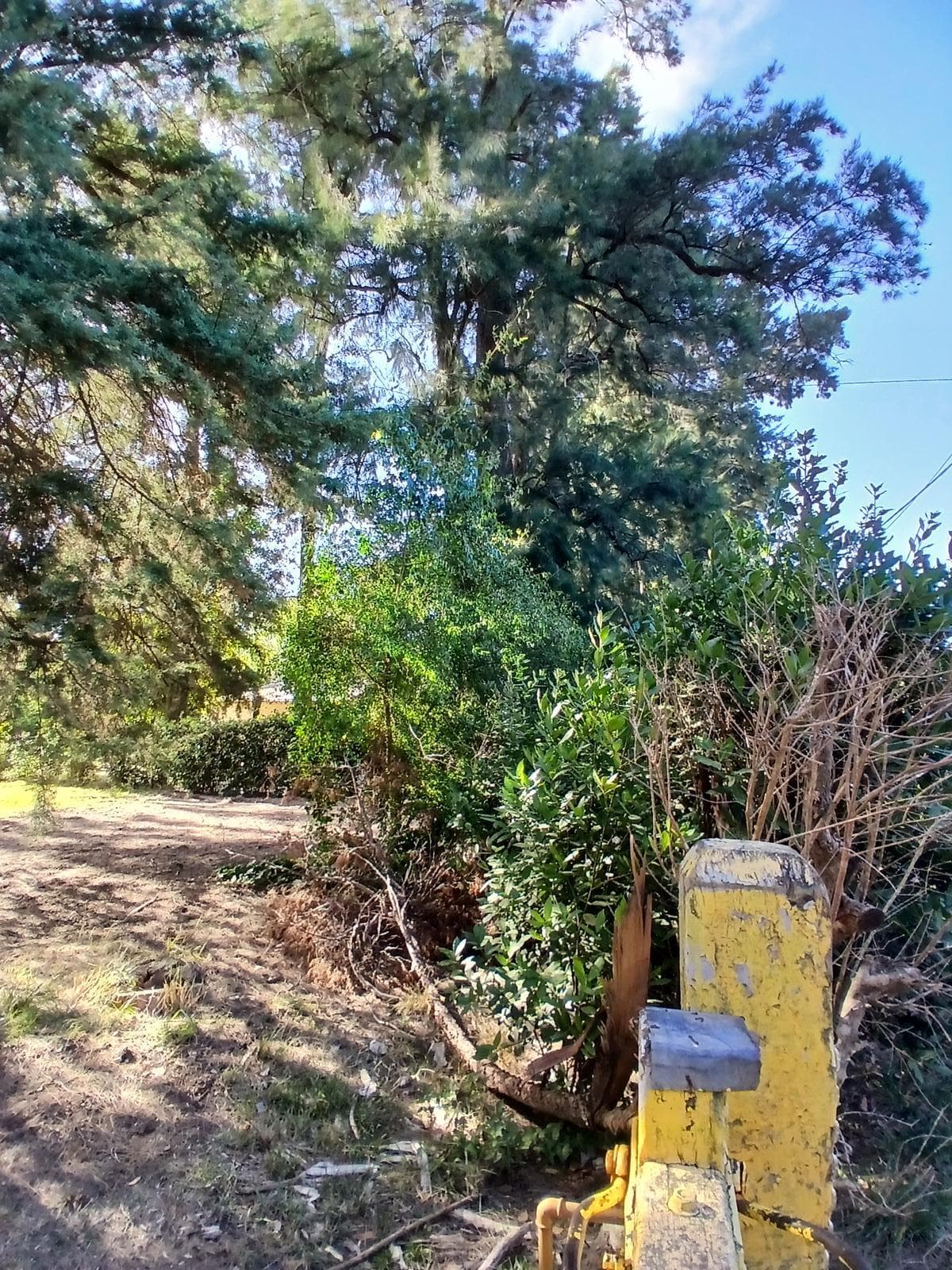 Venta | Terreno con Doble Acceso 920m2 | Guernica | San Vicente - 1