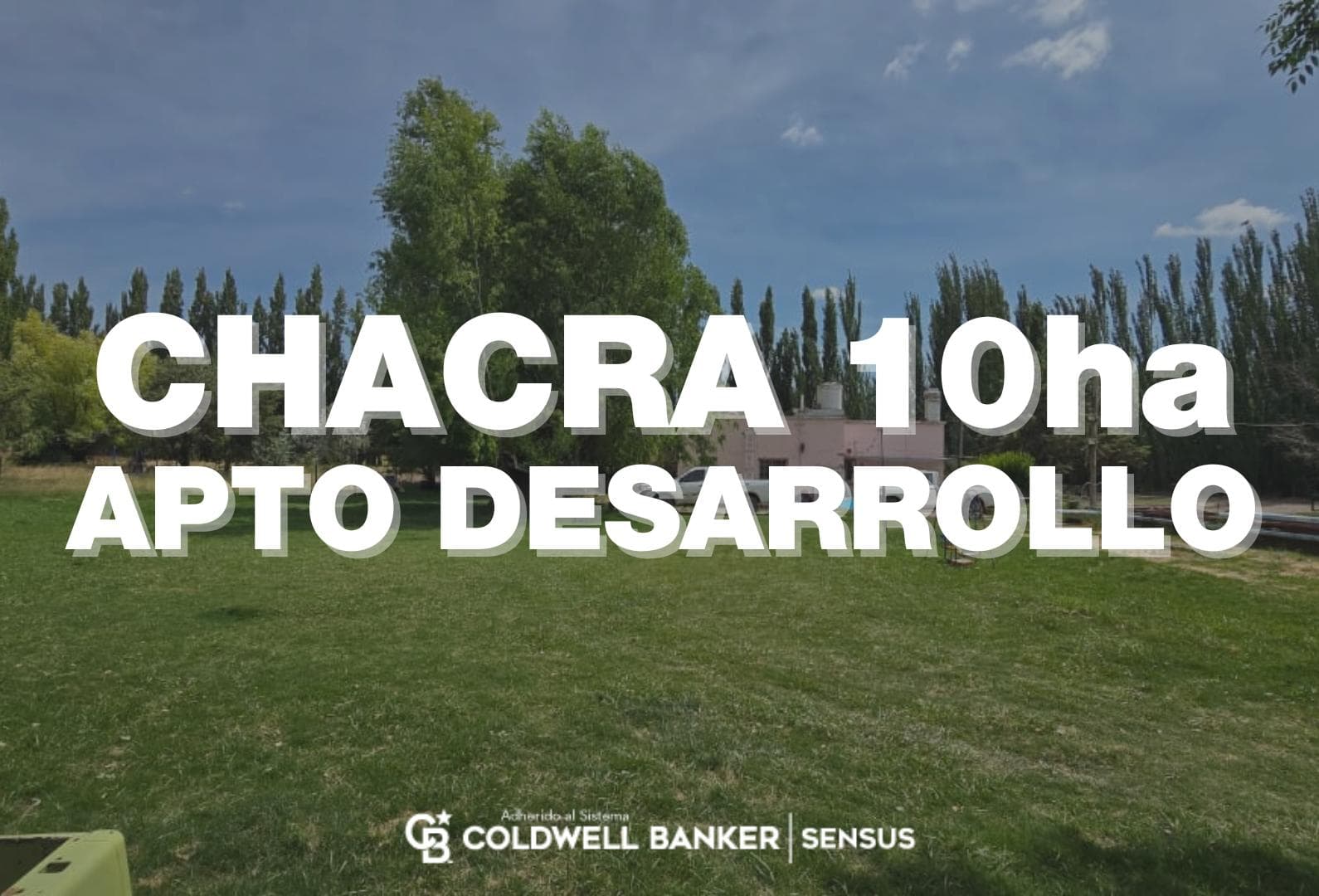 Chacra en Cipolletti - 1