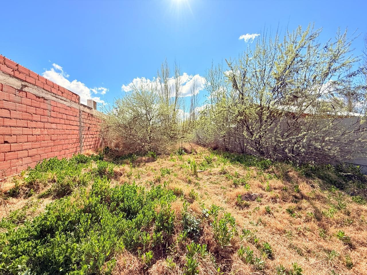 Terreno en Vista Alegre Sur - 1