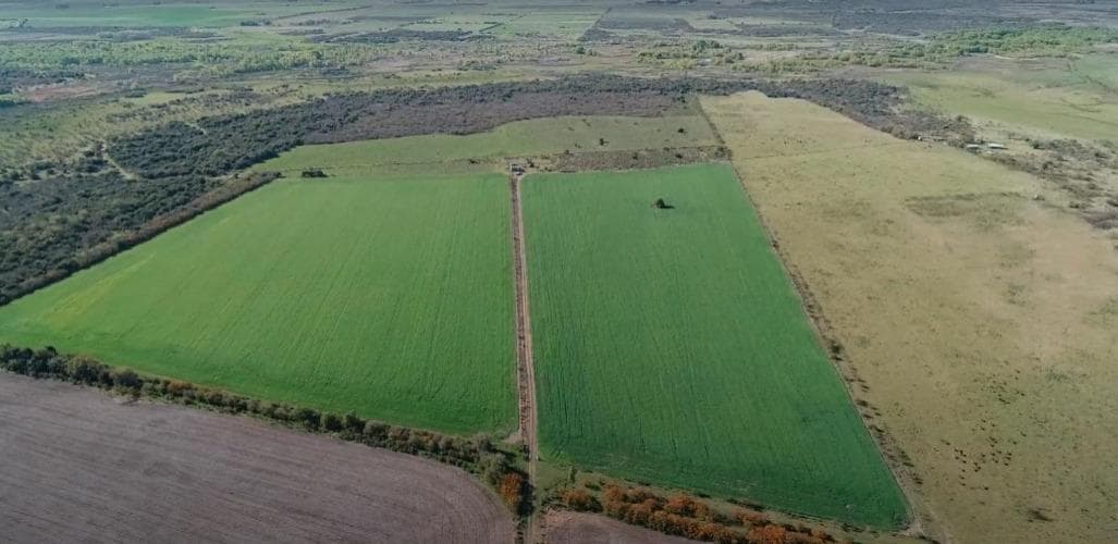 Campo en Gualeguaychu - 1