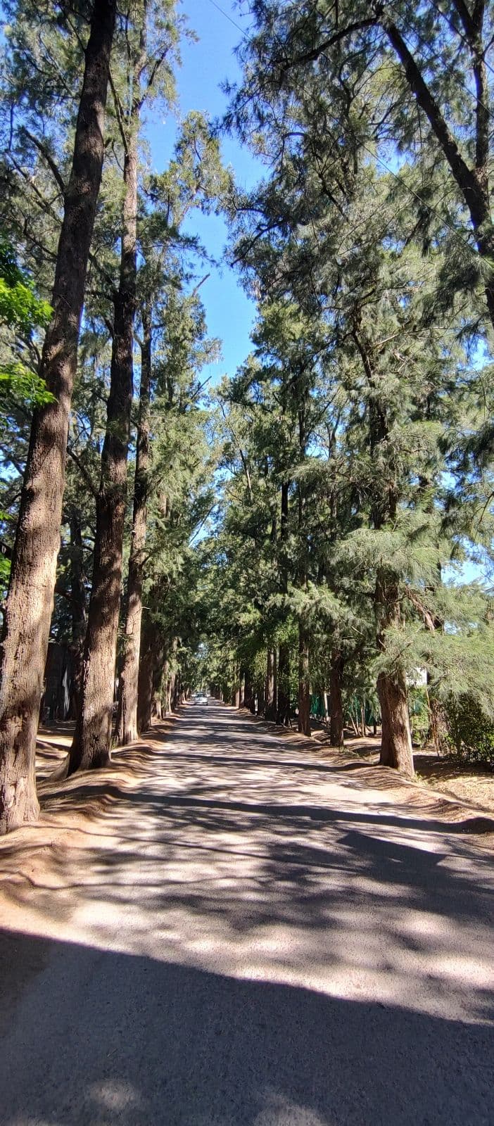 Terreno en Venta de 300 m2 barrio El Rincon - Villa Elisa - 1