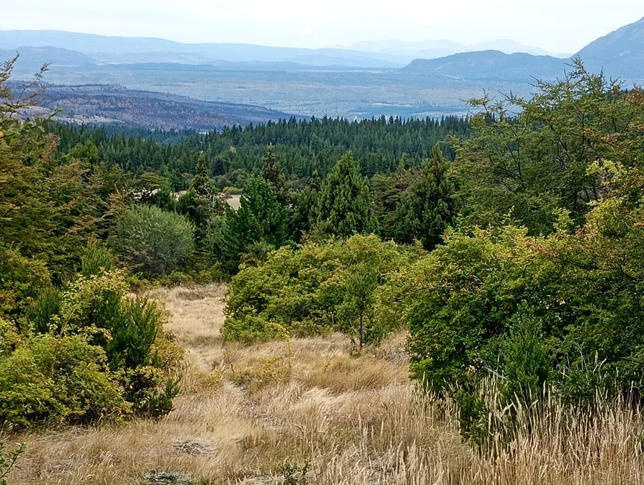 Terreno en Epuyen - 1